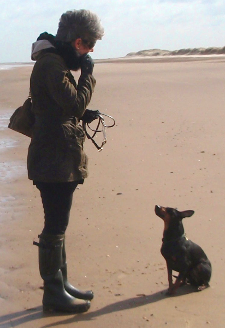Dog training on the beach